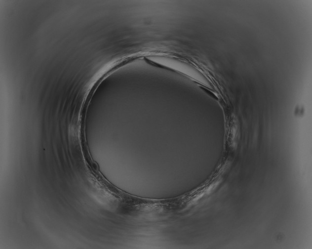 X0000091540100200708241742