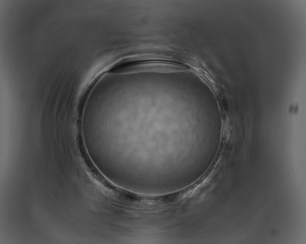 X0000091540101200708241742