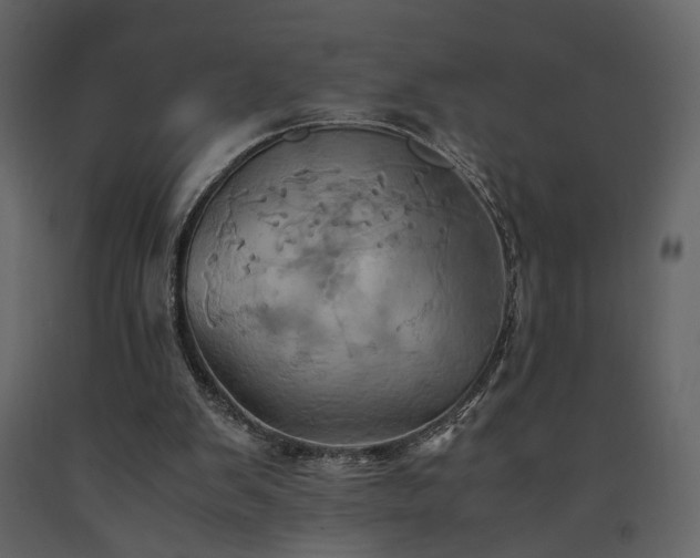 X0000091540103200708241742
