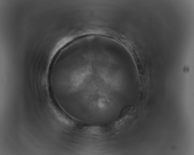 X0000091540104200708241742