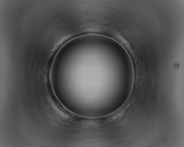 X0000091540106200708241742