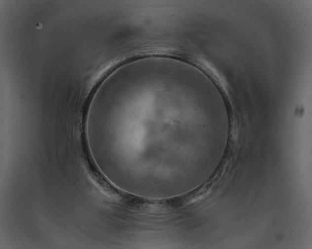 X0000091540107200708241742