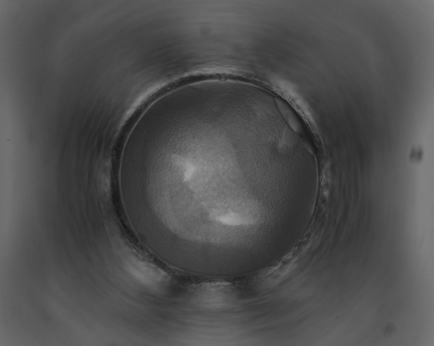 X0000091540108200708241742