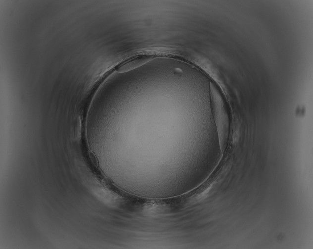 X0000091540109200708241742