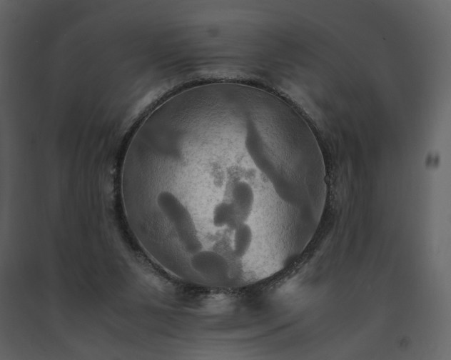 X0000091540111200708241742