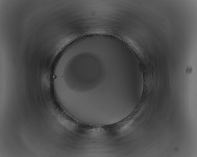 X0000091540112200708241742