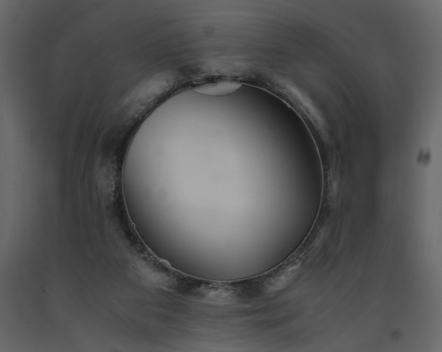X0000091540113200708241742