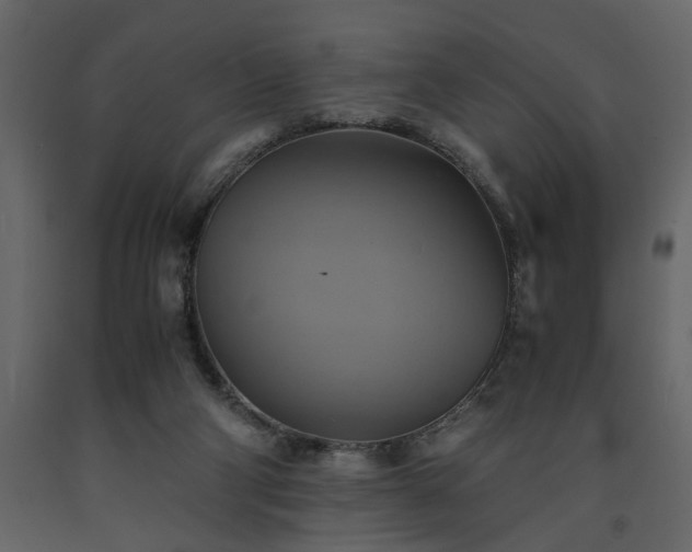 X0000091540114200708241742