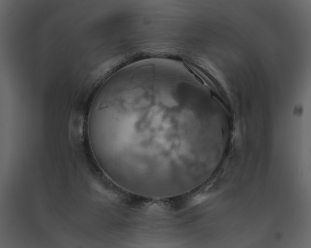 X0000091540115200708241742