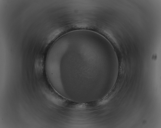X0000091540116200708241742