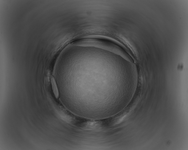 X0000091540117200708241742