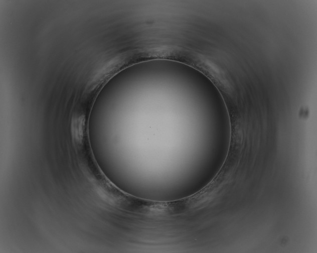 X0000091540118200708241742