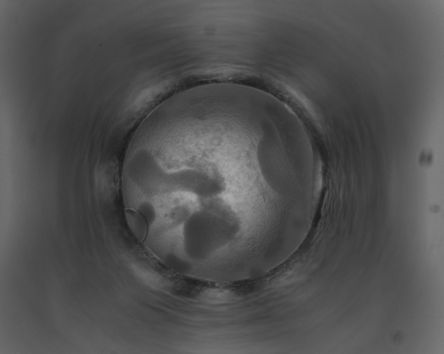 X0000091540119200708241742