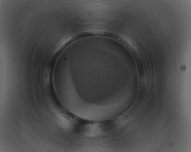 X0000091540120200708241742