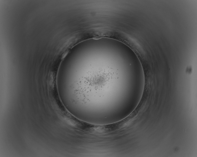 X0000091540121200708241742