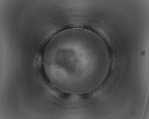 X0000091540123200708241742