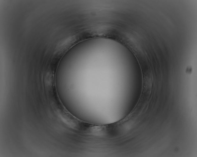 X0000091540126200708241742
