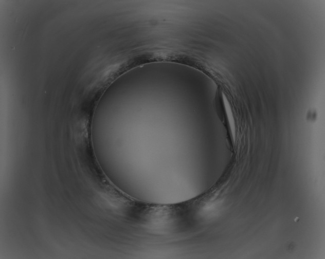 X0000091540127200708241742