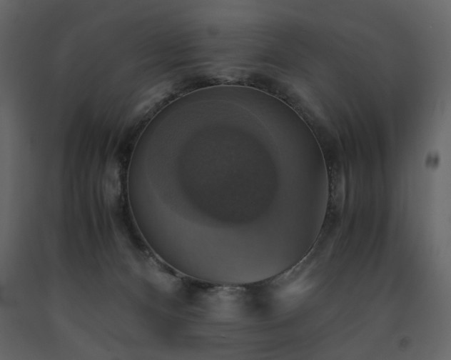 X0000091540128200708241742