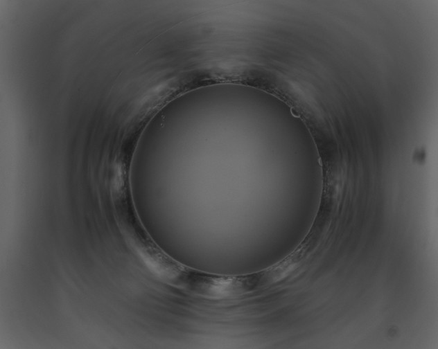 X0000091540130200708241742