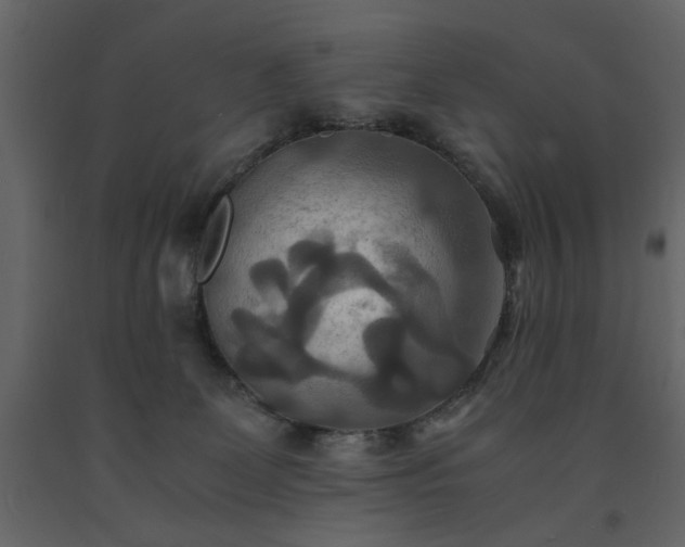 X0000091540131200708241742