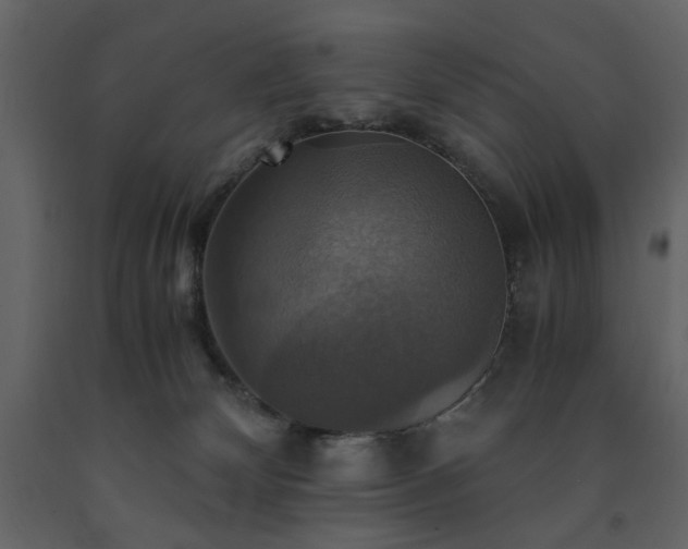 X0000091540132200708241742