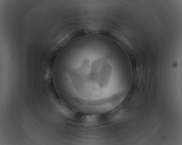 X0000091540134200708241742
