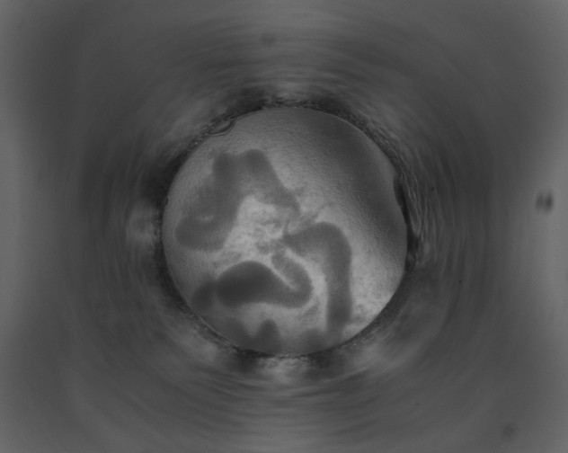 X0000091540135200708241742