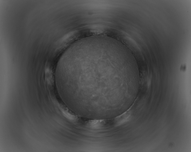 X0000091540136200708241742