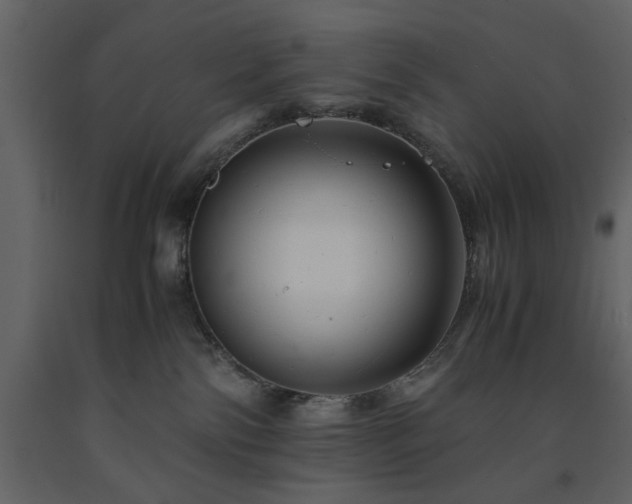 X0000091540138200708241742