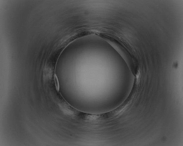 X0000091540139200708241742