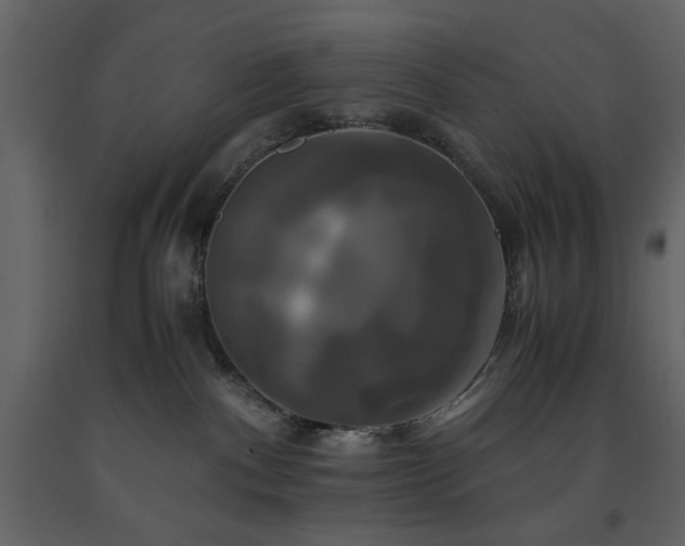 X0000091540140200708241742