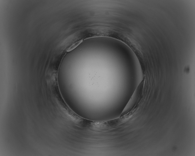 X0000091540141200708241742