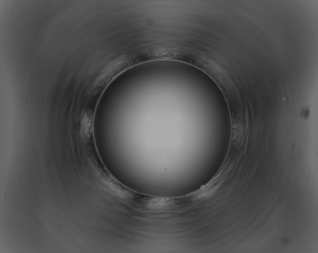 X0000091540142200708241742