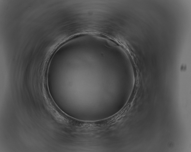 X0000091540145200708241741