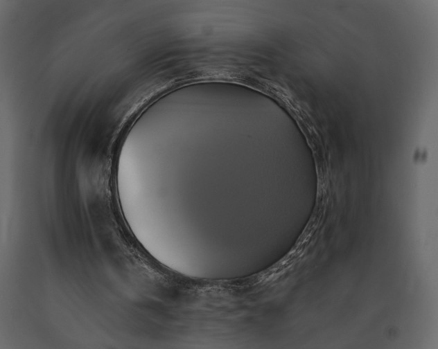 X0000091540146200708241741