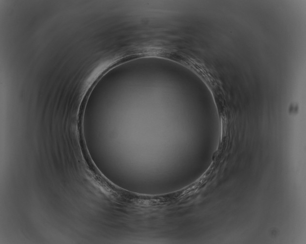 X0000091540147200708241741
