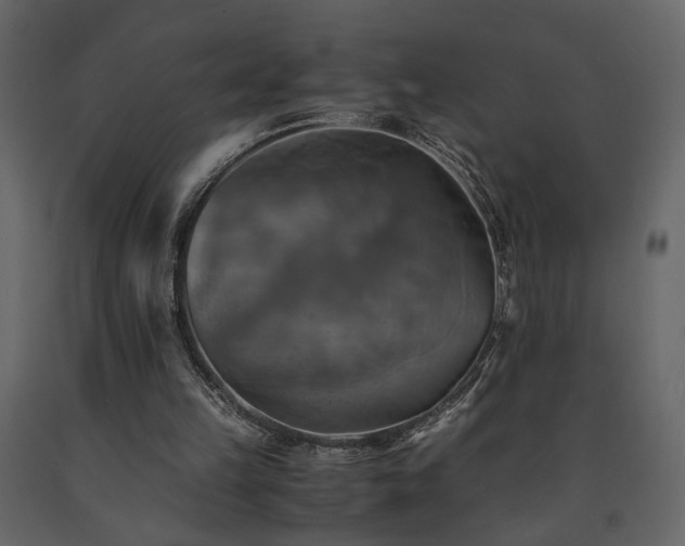 X0000091540149200708241741