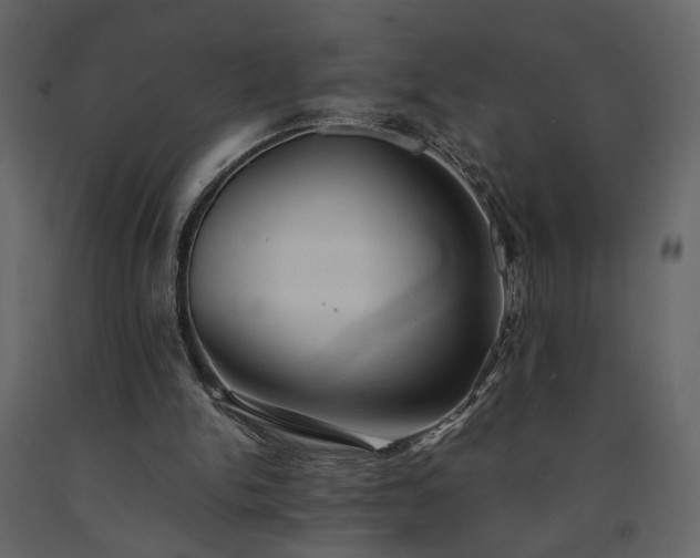 X0000091540150200708241741