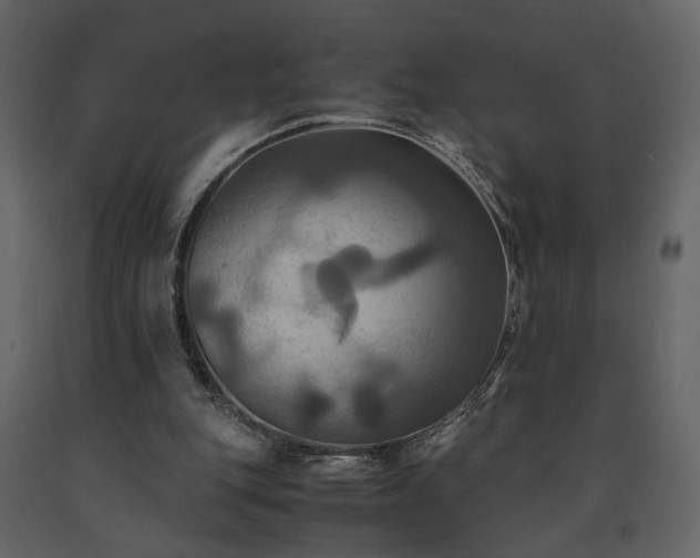 X0000091540151200708241741