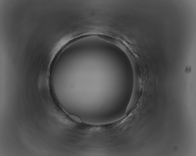 X0000091540152200708241741