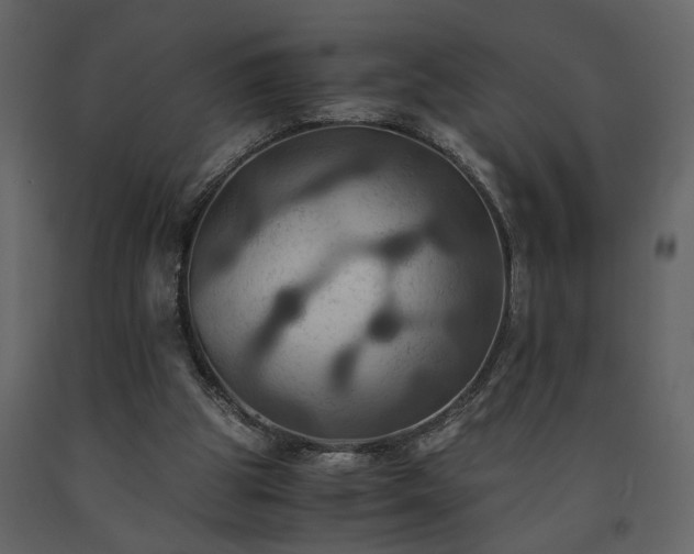 X0000091540153200708241741