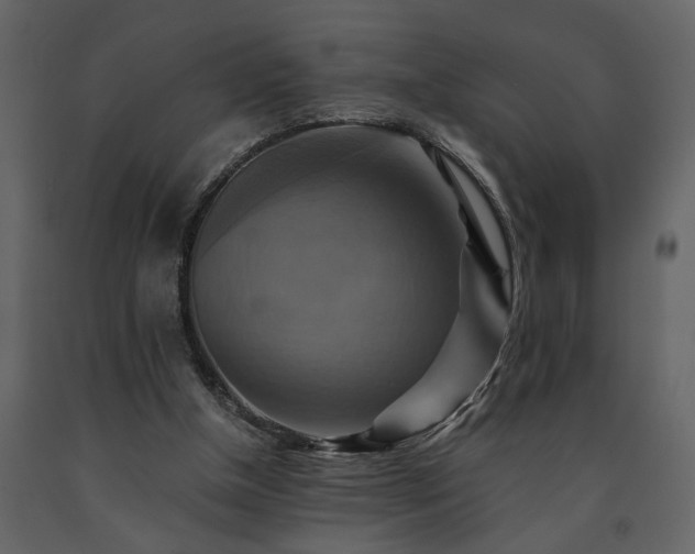 X0000091540154200708241741