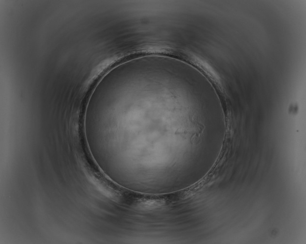 X0000091540155200708241741