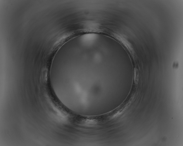 X0000091540157200708241741