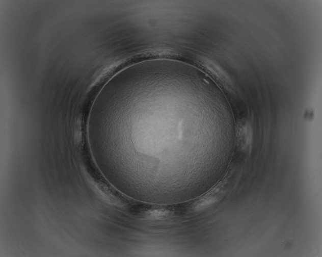 X0000091540158200708241741