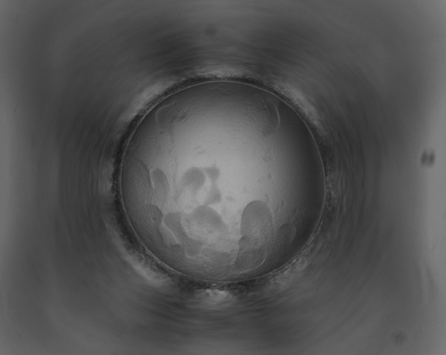 X0000091540159200708241741