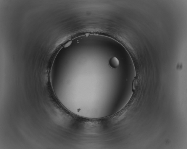 X0000091540160200708241741