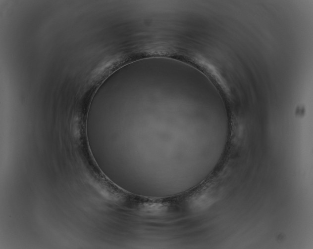X0000091540161200708241741