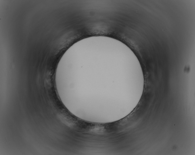 X0000091540162200708241741